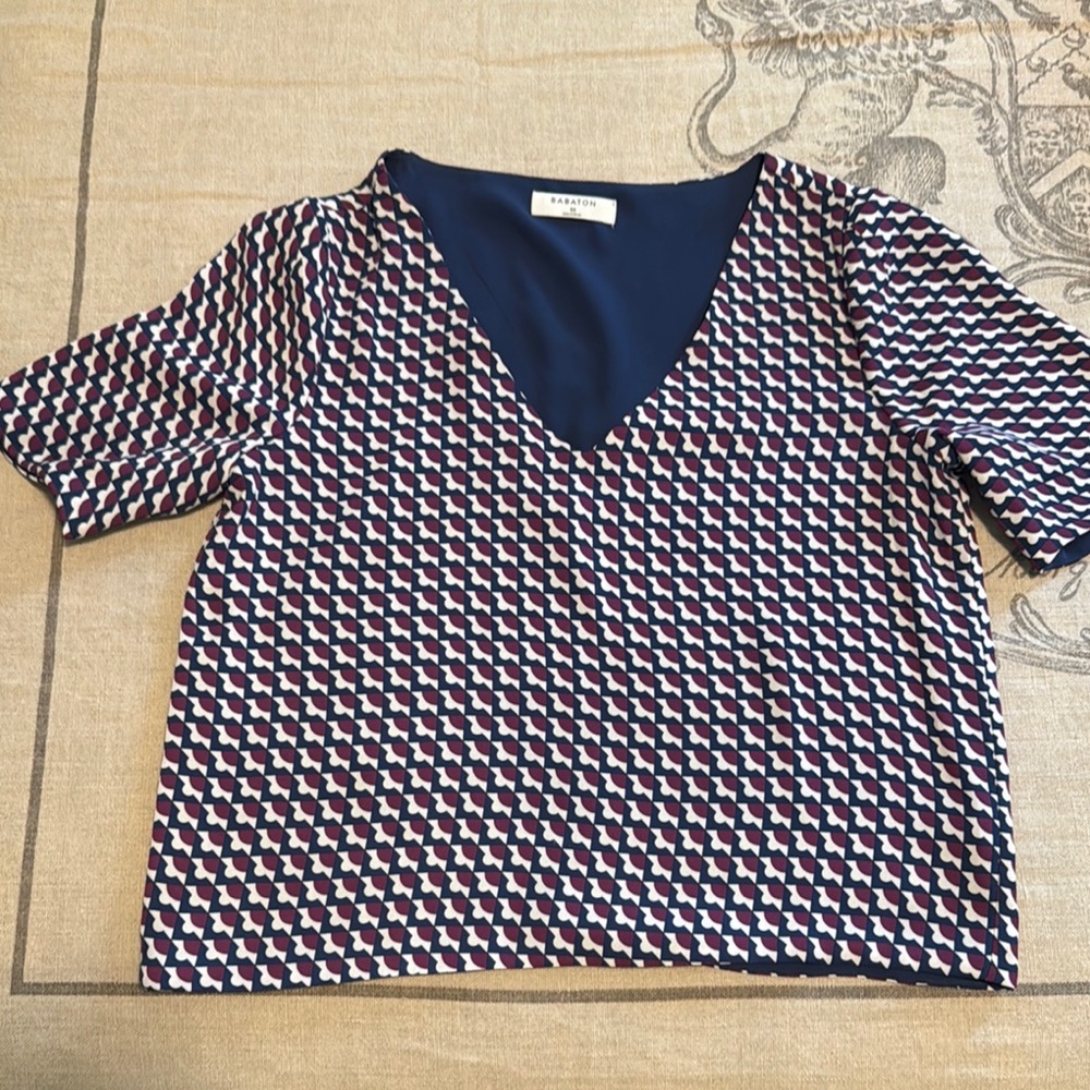 Babaton Blue and White Boxy Crop Blouse